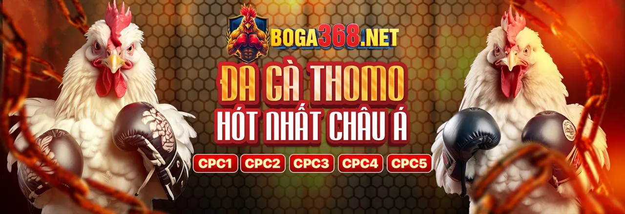 Tải ứng dụng TG88 chính thức cho trải nghiệm cá cược di động an toàn và tiện lợi
